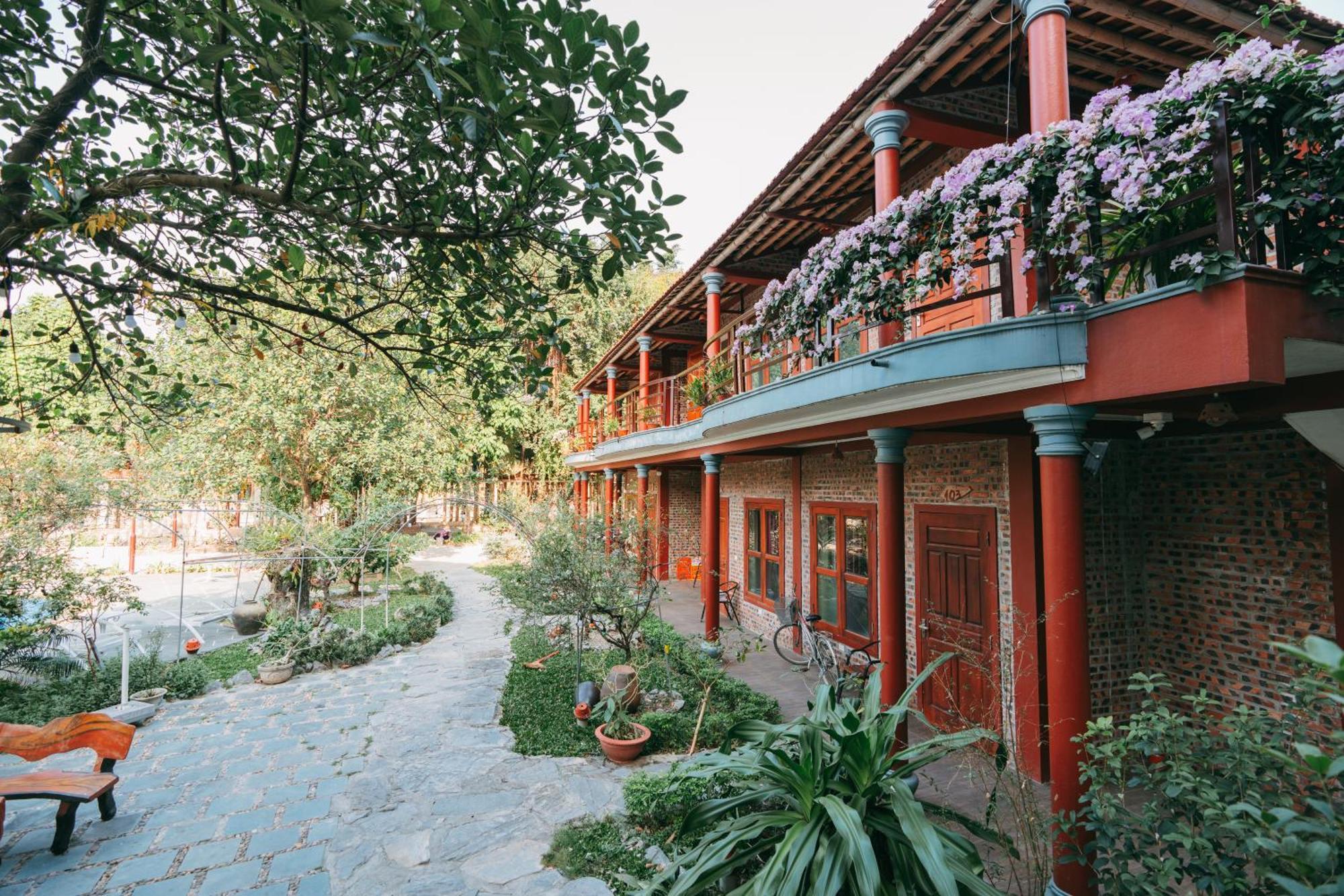 Tam Coc Lavender Homestay Ninh Bình Kültér fotó